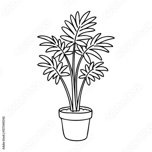 Potted tropical plant outline illustration with large leaves in a simple design. Vector hand-drawn doodle illustration