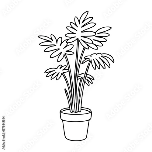 Monstera plant outline drawing in simple pot for coloring. Vector hand-drawn doodle illustration