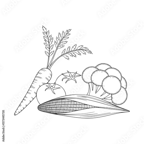 Black and white drawing of fresh vegetables on white background
