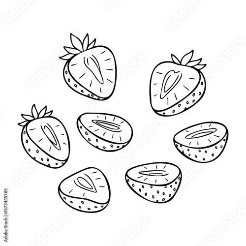 Hand-drawn strawberry halves and slices illustration. Vector hand-drawn doodle illustration