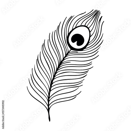 Intricate line drawing of a detailed peacock feather design. Vector hand-drawn doodle illustration