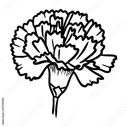 Detailed black and white outline of a carnation flower. Vector hand-drawn doodle illustration