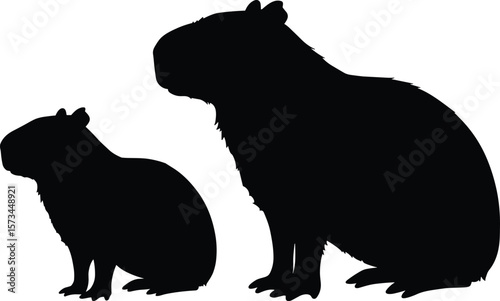 Capybara silhouettes of sitting and standing poses, black vector illustration on white background, editable animal sketch for wildlife, rodent, fauna behavior studies