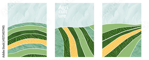 Farmland illustration with eco vineyard grape, abstract nature background, flat vector pattern, tea field design, poster layout, green landscape texture, rural cover, agro art, collage view corn