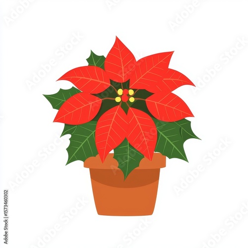 Vibrant poinsettia with red blooms in brown pot on white background