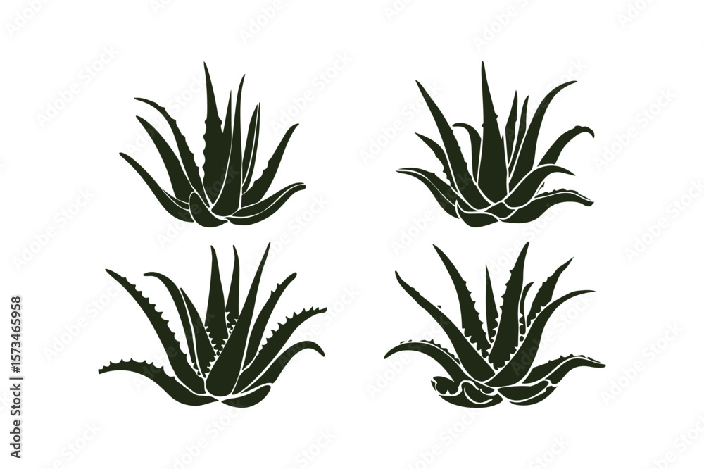 Fototapeta premium Dark green aloe vera plant silhouettes on a white background