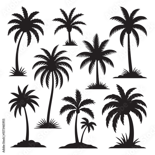 Collection of black silhouette palm trees with feathery fronds and grassy bases against a white background representing tropical island scenery and summer vacation themes