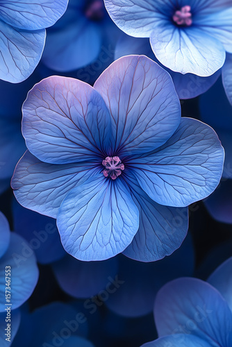 Wallpaper Mural A stunning close-up of a delicate blue flower with intricate petals and soft lighting. Torontodigital.ca