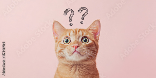 Cute confused cat with big eyes and question marks above its head, minimalistic pastel background