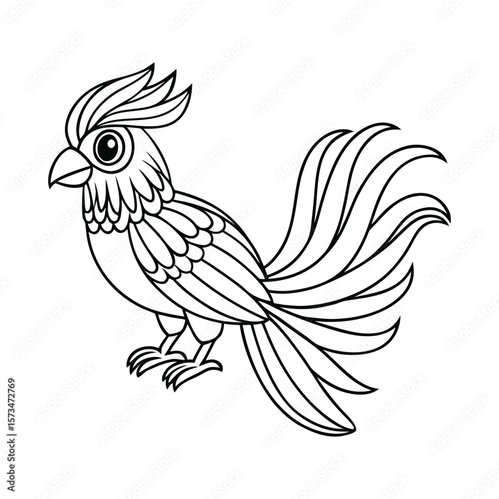 Fototapeta premium A tropical bird perched with a long tail feather for kids coloring book vector illustration.