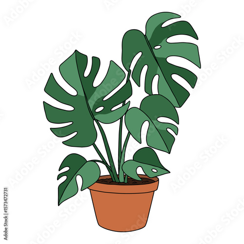 Lush monstera plant illustration in terracotta pot – stock vector in colorful flat style