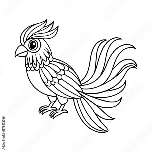 A tropical bird perched with a long tail feather for kids coloring book vector illustration.