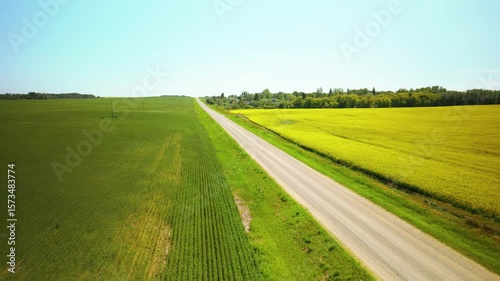 Canola and wheat field farm flyover