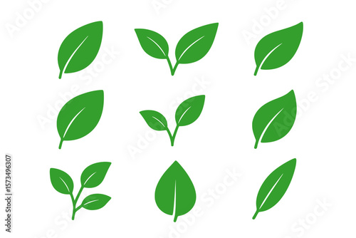 Green Leaf Icon Set. Simple Minimalist Leaves Collection. Botanical Nature Symbol. Eco Foliage, Plant, Organic, Herbal, Vegan, Natural, Fresh, Environment, Spring, Growth, Isolated Vector