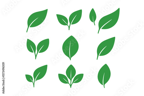 Green Leaf Icon Set. Simple Minimalist Leaves Symbols Collection. Eco Nature Plant Elements. Botanical Foliage Vector Illustration. Organic Herbal Design. Isolated Greenery Clipart.