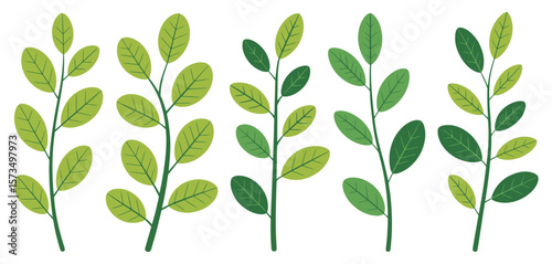 Four Simple Green Leaf Branches on White Background