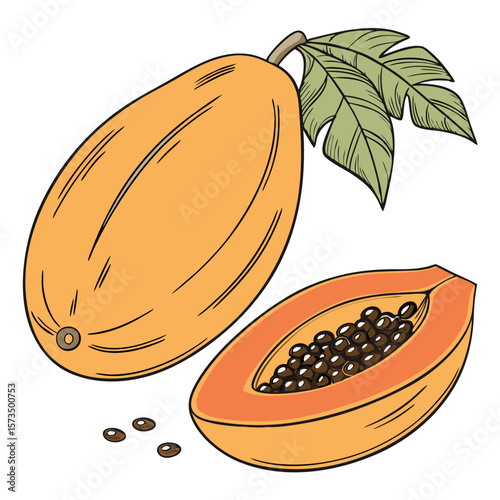 vector illustration of a set of fruits