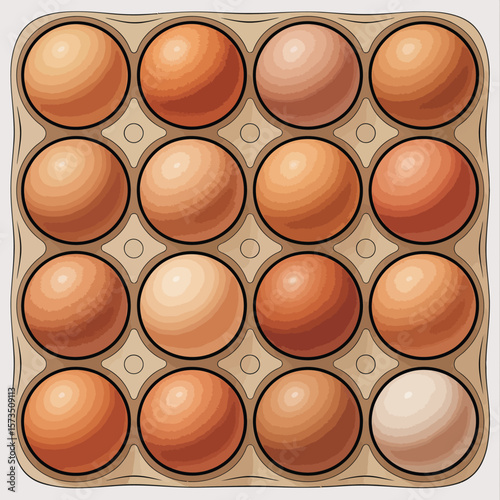 A carton filled with fifteen brown eggs and one white egg