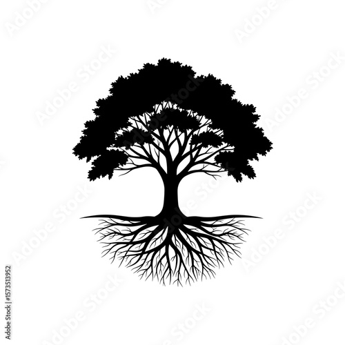 Silhouette of a majestic tree with intricate branches and roots extending outwards in a circular pattern