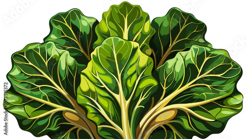 Curled organic mustard greens, dark and leafy, create a dramatic pattern on white background, with strong veins and edges highlighted by gentle shadows, ideal for gourmet or detox-style illustrations.