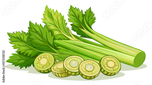 Clean organic celery stalks with leafy tops rest beside sliced rounds in a crisp, refreshing layout perfect for healthy snack visuals and diet-related designs in modern kitchen compositions.