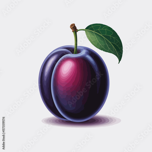 A single ripe purple plum with a green leaf and stem on a white background