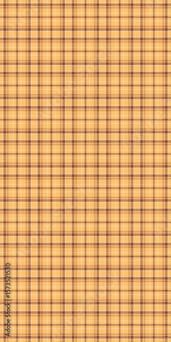 Kingdom fabric seamless texture, size tartan pattern check. Peach background plaid vector textile in orange and red colors.