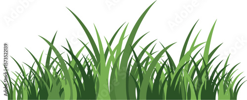 Green grass blades natural vector illustration isolated on white background seamless design element 