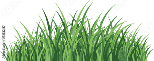 Green grass blades vector illustration with natural sharp edges and fresh look for design projects 