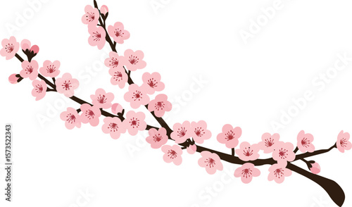 Cherry blossom branch with pink flowers and brown stem vector illustration in spring season 