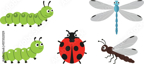 Colorful cartoon insects with green caterpillars red ladybug and blue dragonflies vector illustration 