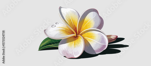 Closeup of a Vibrant Plumeria Flower with Dew Drops