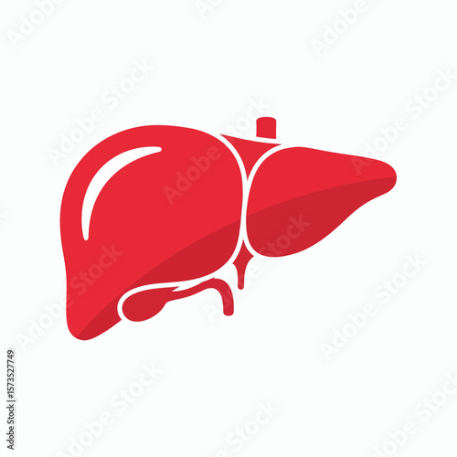 Stylized red icon of a human liver on a white background