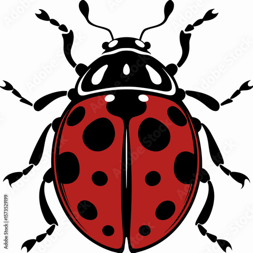 Ladybug vector illustration: red ladybug with black spots, insect drawing, bug graphic, cute ladybird art