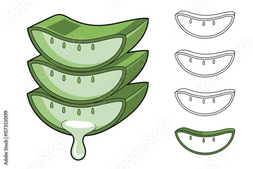 Stack of fresh aloe vera slices with gel dripping and outline versions
