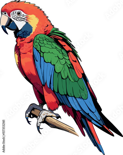 Parrot on branch – colorful full body side view vector on white background, 2D vector illustration