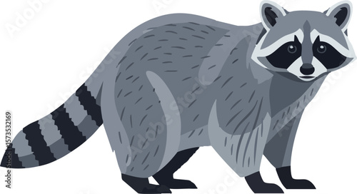 Raccoon vector drawing in side view – full body pose on white background, 2D vector illustration