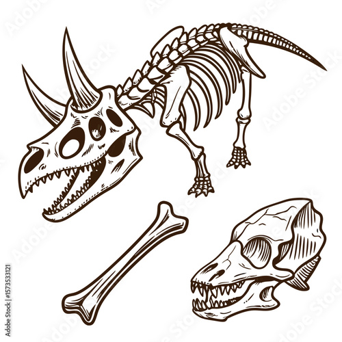 Dinosaur skeleton with skull and bone illustration