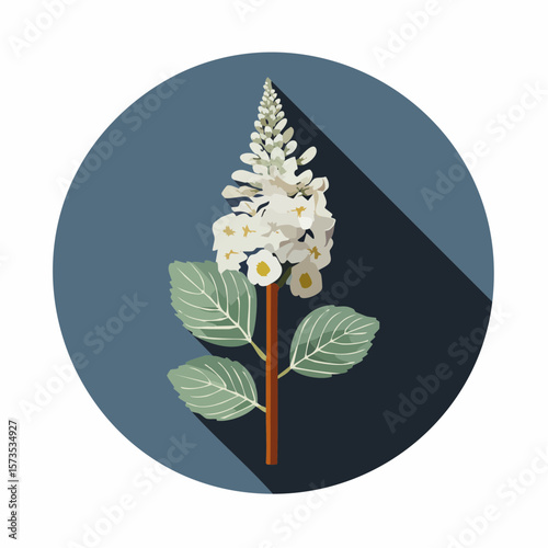 stylized veronica sprig with linear elegance and flat floral harmony