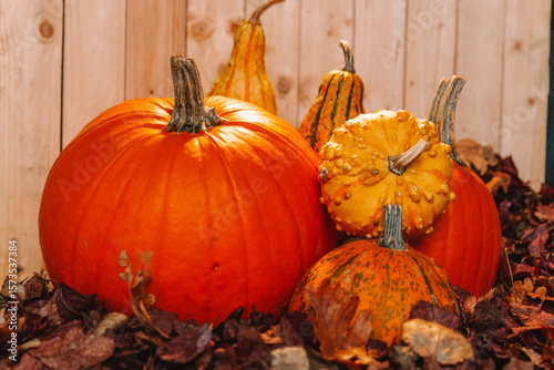 Pumpkin Wallpaper.Close-up of Pumpkins and Gourds for Fall.Autumnal Display of Pumpkins and Gourds. Place for text. Pumpkins in autumn leaves on wooden background