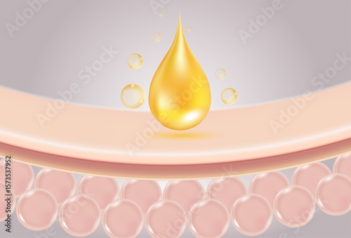 skin cell. serum molecules through the skin layer and reduce up saggy skin of the skin cell.