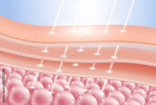 Skin rejuvenation, skin cells, Skin Repair, collagen serum, 3D illustration