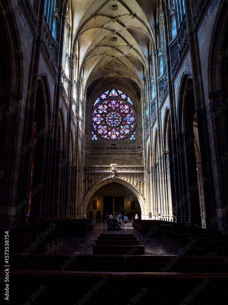 Fototapeta premium OLYMPUS DIGITAL CAMERA