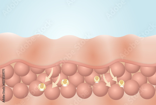 tissue repair serum on damaged or bumpy skin cells, 3d illustration	

