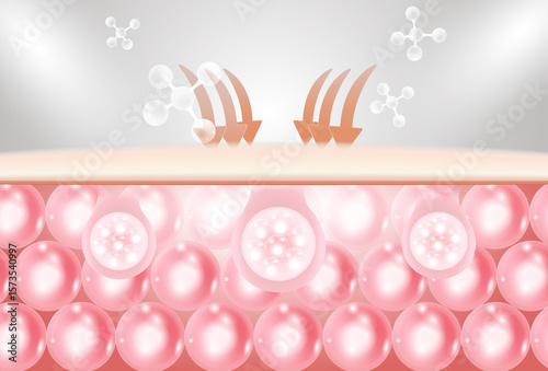 Foto Serum that is absorbed into the deepest layers of the skin