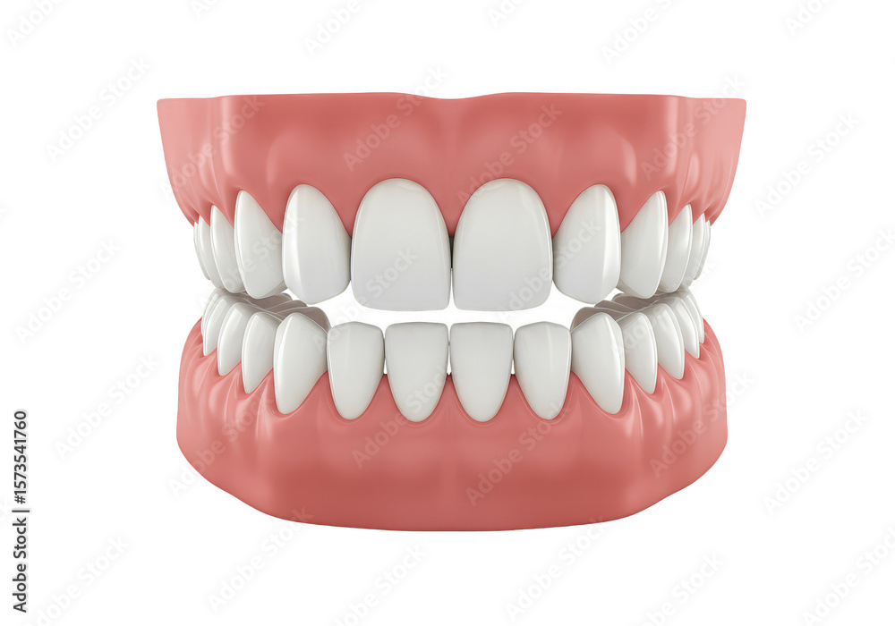 Fototapeta premium Realistic 3D Render of Denture False Teeth Isolated on Transparent Background