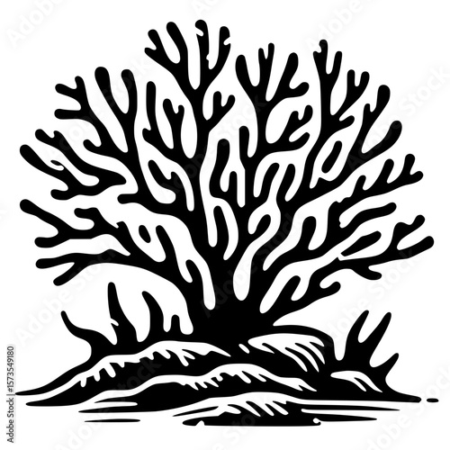 Coral reef silhouette