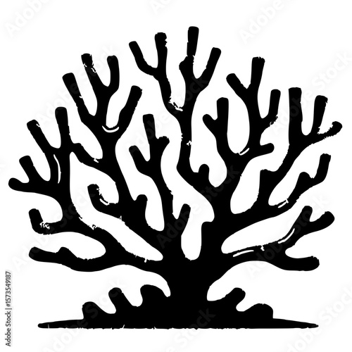 Coral reef silhouette