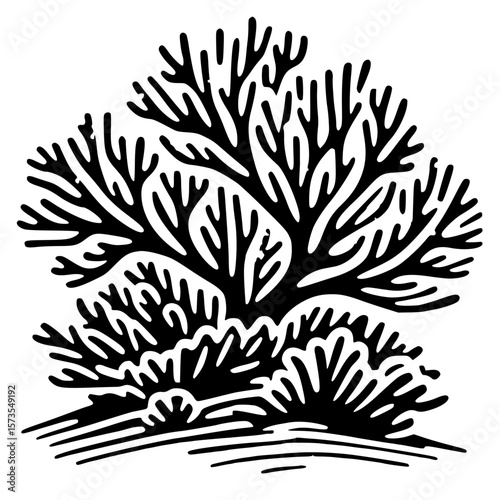 Coral reef silhouette