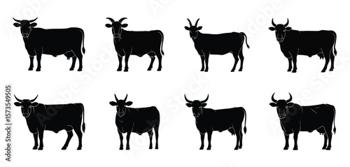 Collection of black cow silhouettes standing on a white background